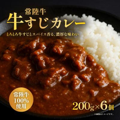 ふるさと納税 茨城町 牛すじカレー 200g×6個 茨城県ブランド牛(常陸牛)