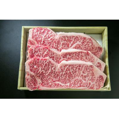 ふるさと納税 京丹波町 [京都モリタ屋]京都肉サーロインステーキ 600g