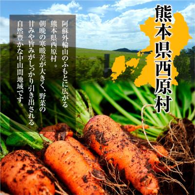 ふるさと納税 西原村 訳あり にんじん 10kg(西原村) |  | 01