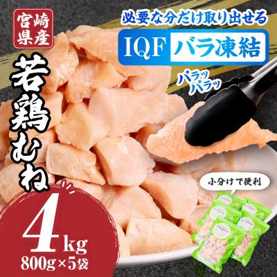 ふるさと納税 宮崎市 宮崎県産 若鶏 むね カット バラ 凍結品 4kg
