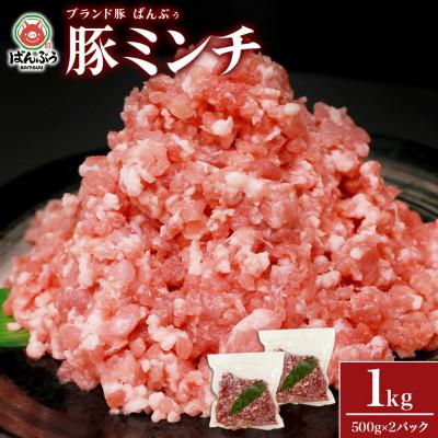 ふるさと納税 小美玉市 ブランド豚「ばんぶぅ」小分け ミンチ 1kg(500g×2パック)