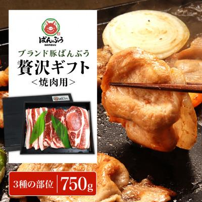 ふるさと納税 小美玉市 ブランド豚「ばんぶぅ」化粧箱入りギフト 焼肉用 750g