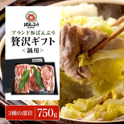ふるさと納税 小美玉市 ブランド豚「ばんぶぅ」化粧箱入りギフト 鍋用 750g