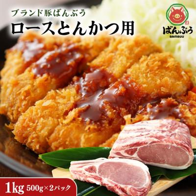 ふるさと納税 小美玉市 ブランド豚「ばんぶぅ」小分け ロース とんかつ用 1kg(500g×2パック)