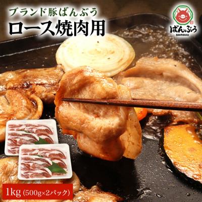 ふるさと納税 小美玉市 ブランド豚「ばんぶぅ」小分け ロース焼肉用 1kg(500g×2パック)