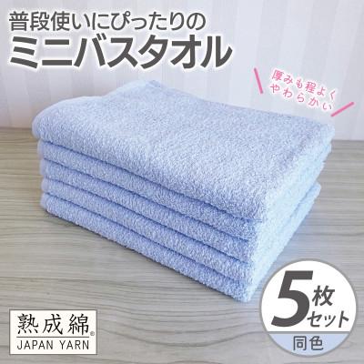 ふるさと納税 泉佐野市 普段使いにぴったりのミニバスタオル 5枚セット サックス 泉州タオル