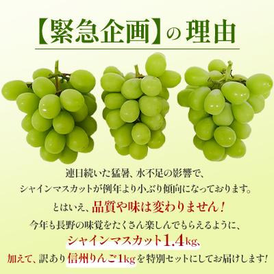 ふるさと納税 長野県 長野県産 シャインマスカット1.4kg + 信州りんご(訳あり)1kg　計2.4kg |  | 02