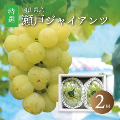 ふるさと納税 真庭市 真庭市産 瀬戸ジャイアンツ 大房特選2房 [seto06]