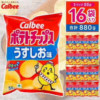 ふるさと納税 城里町 カルビー ポテトチップス うすしお味 1ケース(55g×16袋) 数量限定