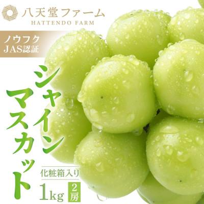ふるさと納税 竹原市 八天堂ぶどう園 シャインマスカット 2房 1kg 化粧箱入り ノウフクJAS認証 ※8月中旬頃〜発送