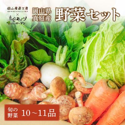 ふるさと納税 真庭市 真庭あぐり野菜セット カット野菜が1品入る10〜11品[yasai015]