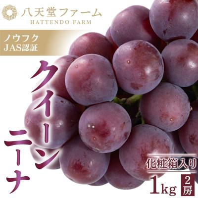 ふるさと納税 竹原市 八天堂ぶどう園 高糖度品種 クイーンニーナ 2房 1kg 化粧箱入り ノウフクJAS認証
