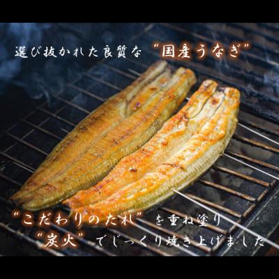 ふるさと納税 四條畷市 【国産ウナギ】大大きさ140g -170g 鹿児島産 10尾 炭火蒲焼き(タレ付き添い人)