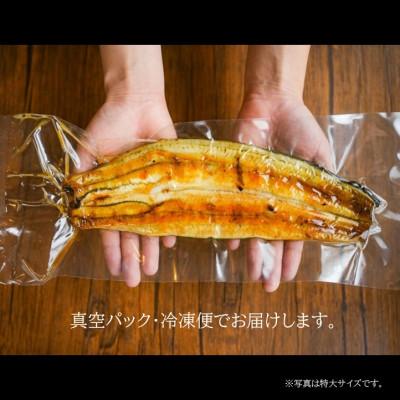 ふるさと納税 四條畷市 【国産ウナギ】大大きさ140g -170g 鹿児島産 10尾 炭火蒲焼き(タレ付き添い人)