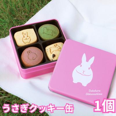 ふるさと納税 竹原市 [村上ベーカリー]うさぎクッキー缶 1個