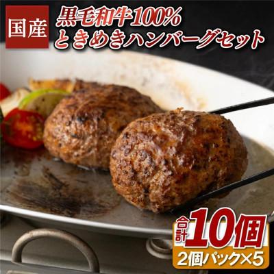 ふるさと納税 佐世保市 [BigMan]国産黒毛和牛100%ときめきハンバーグセット 計10個(2個×5P)