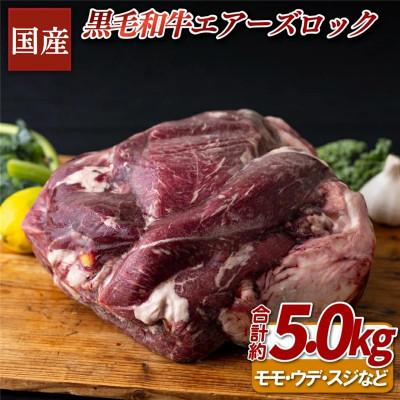 ふるさと納税 佐世保市 [BigMan]国産黒毛和牛エアーズロック(約5kg)