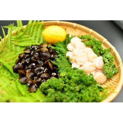 ふるさと納税 網走市 先行予約・年末発送 かにやの豪華10品 海鮮グルメセット |  | 02