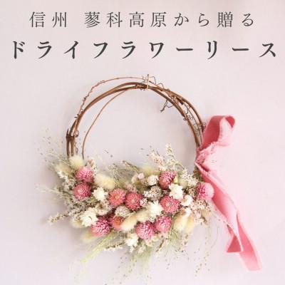 ふるさと納税 茅野市 信州八ヶ岳の麓から贈るドライフラワーリース S
