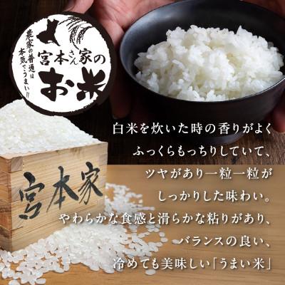 ふるさと納税 稲敷市 〈令和7年産〉茨城県稲敷市産コシヒカリ 精米10kg