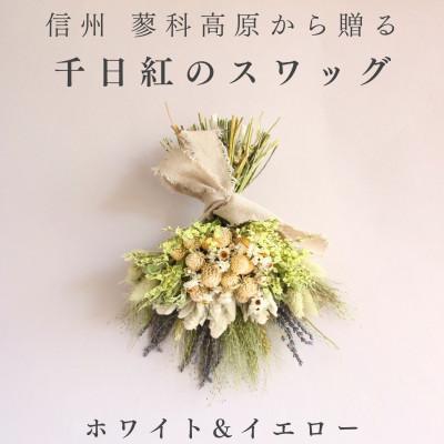 ふるさと納税 茅野市 信州八ヶ岳の麓から贈る 千日紅のドライフラワースワッグM(ホワイト&イエロー) | 