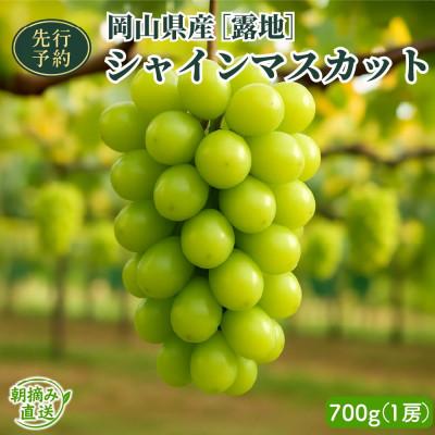 ふるさと納税 鏡野町 [2026年先行予約][露地]岡山県産シャインマスカット 700g(1房)