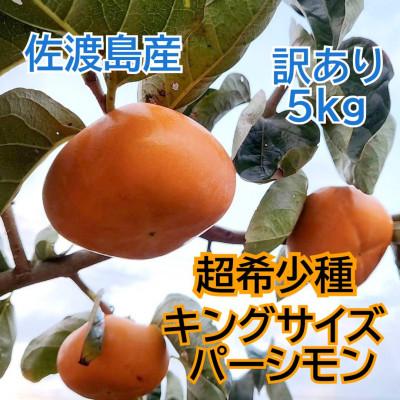 ふるさと納税 佐渡市 佐渡島の希少柿 幻のキングサイズパーシモン 訳あり品 5kg