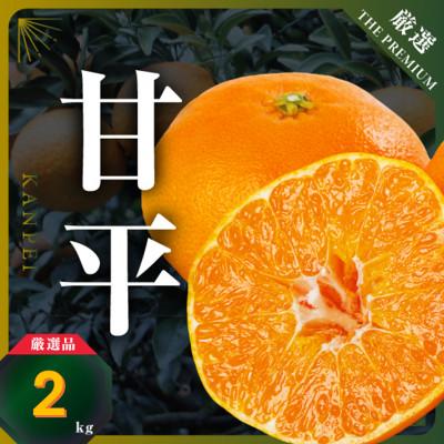 ふるさと納税 八幡浜市 [愛媛限定]驚きの甘さ!幻の柑橘[甘平]2kg(M〜3L玉混合)[D31-55]