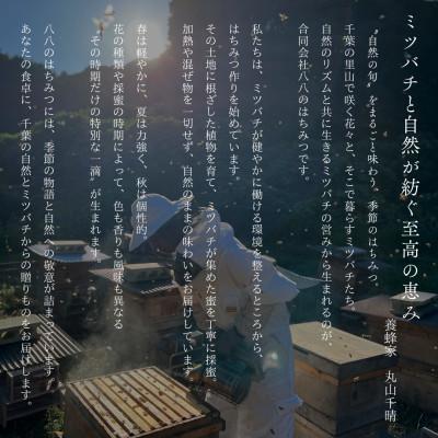 ふるさと納税 大網白里市 千葉県産「純粋はちみつ」からすざんしょう【計1.2kg】100g×12個_2