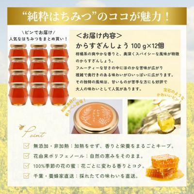 ふるさと納税 大網白里市 千葉県産「純粋はちみつ」からすざんしょう【計1.2kg】100g×12個_3