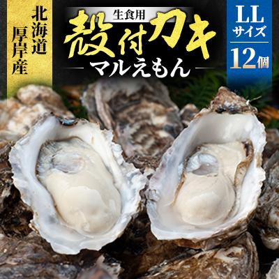 ふるさと納税 厚岸町 北海道厚岸町産 牡蠣 生食用 殻付き牡蠣 「マルえもん」LLサイズ12個[便利な牡蠣ナイフ付き]