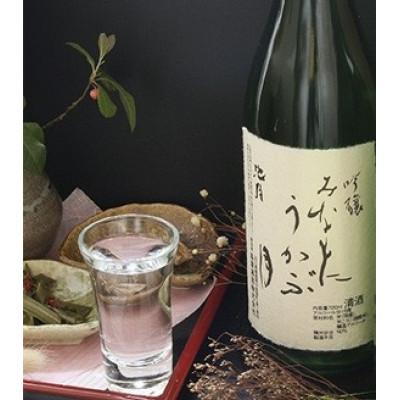 ふるさと納税 中能登町 [鳥屋酒造]「吟醸みなもにうかぶ月(720ml)」と「純米酒 眉丈山(720ml)」飲み比べセット