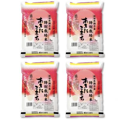 ふるさと納税 横手市 [令和7年産]&lt;愛和自然農法研究会&gt;特栽米あきたこまち8kg(2kg×4袋) 精米