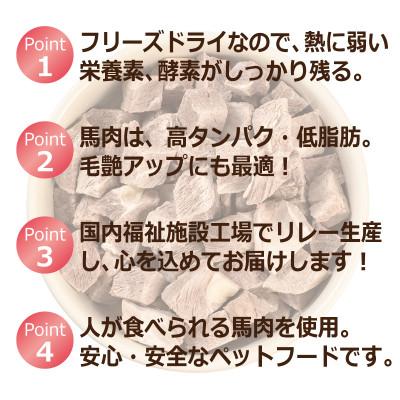ふるさと納税 泉佐野市 ALOHAS 馬肉フリーズドライ 犬猫用おやつ 25g×5袋(犬猫用 国産) 010B1730の画像