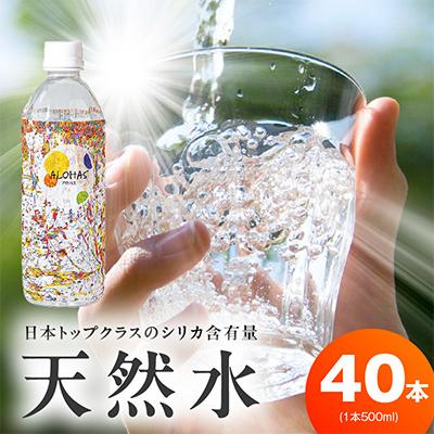 ふるさと納税 泉佐野市 ALOHAS シリカ水 合計20L (500ml×40本入り