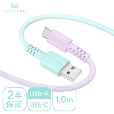 ふるさと納税 海老名市 グラデーションケーブル A to C 1m マーメイド(MOT-SCBACG100-MD)