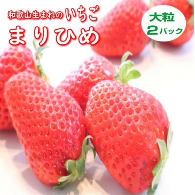 ふるさと納税 印南町 [まりひめ]大粒2パック 和歌山生まれブランドいちご