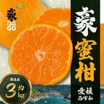ふるさと納税 八幡浜市 豪 蜜柑 3kg(S〜Lサイズ)[C88-2]