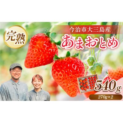 ふるさと納税 今治市 井上苺園 あまおとめ(270g×2パック)[V002540]