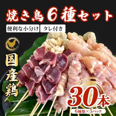 ふるさと納税 鹿屋市 鶏串30本(6種×5パック)セット