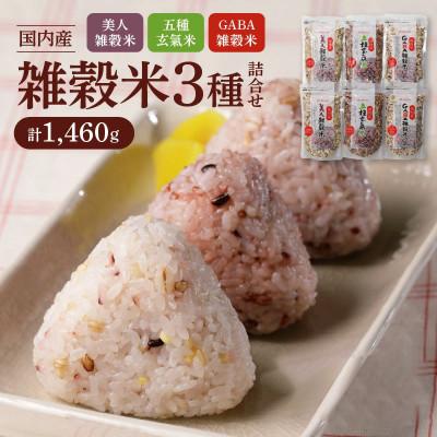 ふるさと納税 久留米市 国内産 雑穀米3種詰め合わせ(GABA雑穀米・美人雑穀米・五種玄氣雑穀米 各2個)(久留米市)