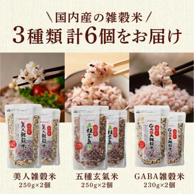 ふるさと納税 久留米市 国内産 雑穀米3種詰め合わせ(GABA雑穀米・美人雑穀米・五種玄氣雑穀米　各2個)(久留米市)_2