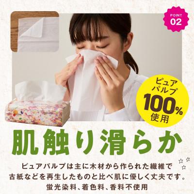 ふるさと納税 泉佐野市 ALOHAS ソフトパックティッシュ 400枚(200組