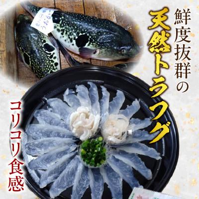 ふるさと納税 西尾市 三河産天然トラフグ刺身とヒガンフグたたきの食べ比べセット・U047_1