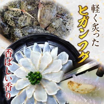 ふるさと納税 西尾市 三河産天然トラフグ刺身とヒガンフグたたきの食べ比べセット・U047_2