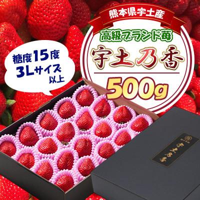 ふるさと納税 宇土市 先行予約!園村苺園 高級ブランド 苺「宇土乃香」 糖度15度以上 3Lサイズ以上 500g
