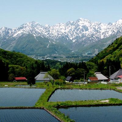 ふるさと納税 白馬村 【令和8年産】 長野県白馬村産ミルキークイーン10kg |  | 03