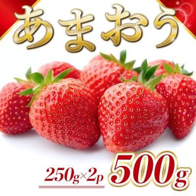ふるさと納税 粕屋町 [1月より順次発送]福岡県産 あまおう 500g(250g×2パック)(粕屋町)