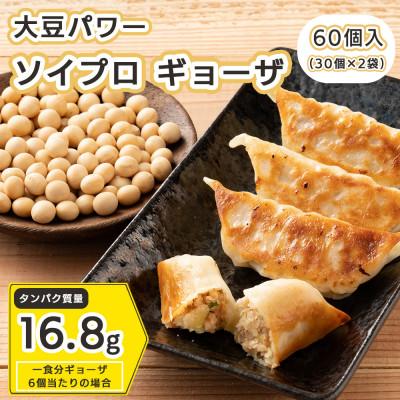 ふるさと納税 静岡市 大豆パワー ソイプロギョーザ(30個入×2袋)