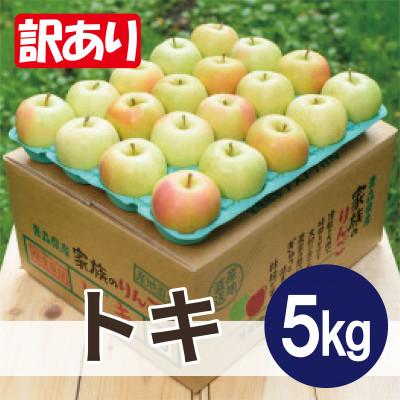ふるさと納税 鶴田町 [26年10月から順次発送]平均糖度12度以上! トキ 約5kg 訳あり 青森 りんご